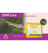 DBM Lure / Plutella xylostella Pheromone Lure